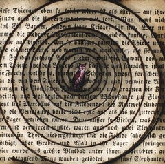 Assemblage in century old excavated book: 'Fana'