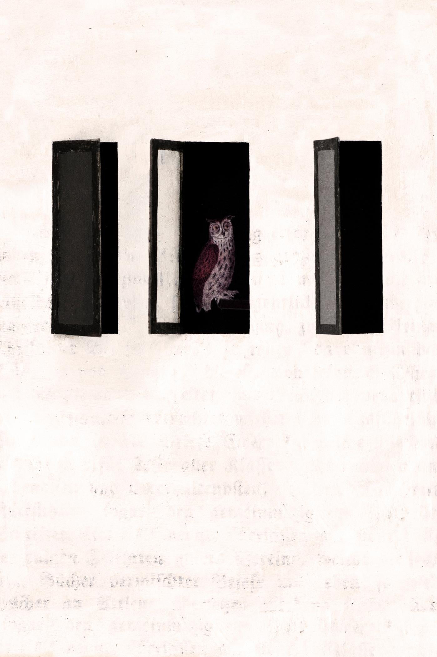 Assemblaggio in un libro di scavo vecchio di un secolo: 'Non tutte le finestre sono porte'".