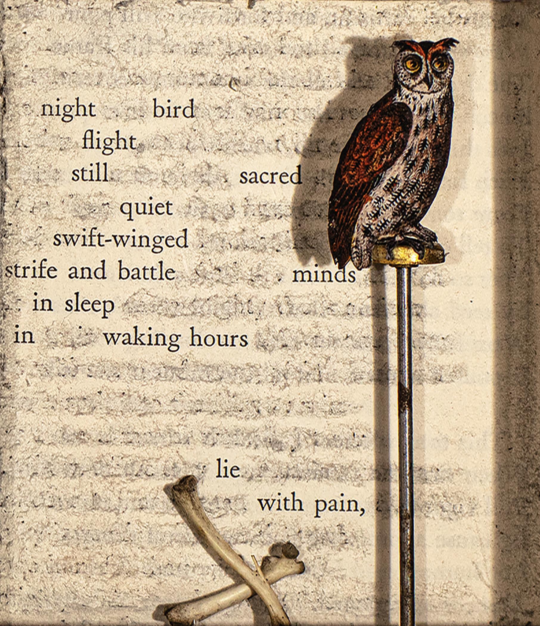 Heide Hatry is a NYC-based German artist, former rare bookseller, and best known for her work employing animal parts or other discarded, disdained, or “taboo” materials. She has curated many exhibitions and shown her work at museums and galleries