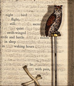 Assemblage in century old excavated book: 'On the Nature of Things''