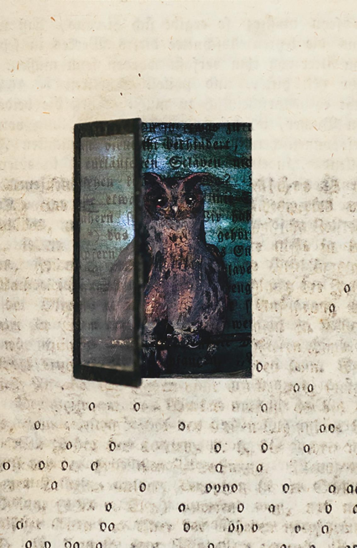 Heide Hatry is a NYC-based German artist, former rare bookseller, and best known for her work employing animal parts or other discarded, disdained, or “taboo” materials. She has curated many exhibitions and shown her work at museums and galleries