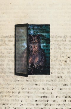 Assemblage in century old excavated book: 'One of a Kind'