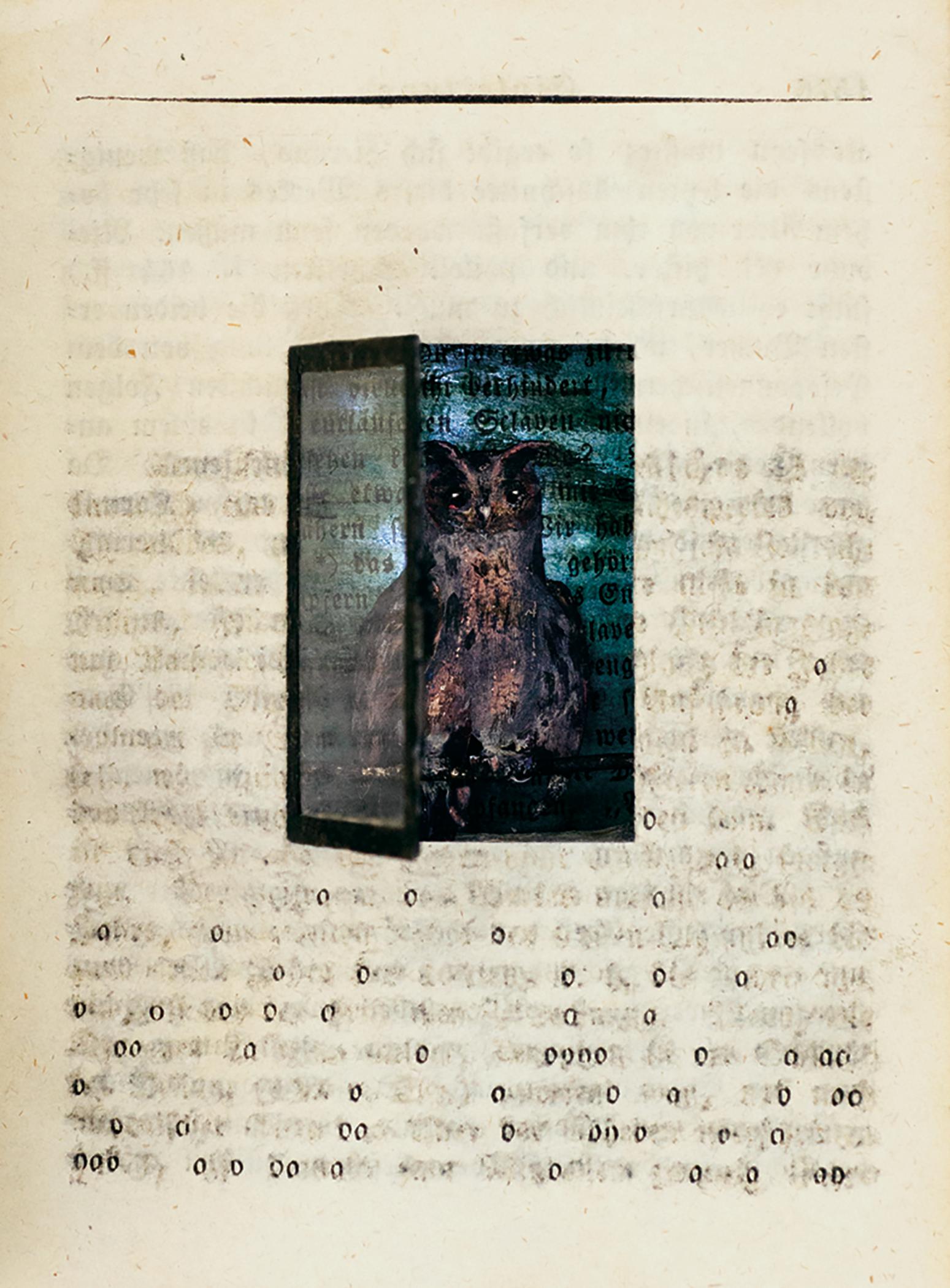 Assemblage in century old excavated book: 'One of a Kind' For Sale 4