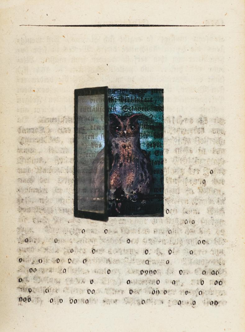 Assemblage in century old excavated book: 'One of a Kind'