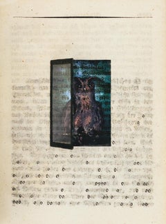Assemblage in century old excavated book: 'One of a Kind'