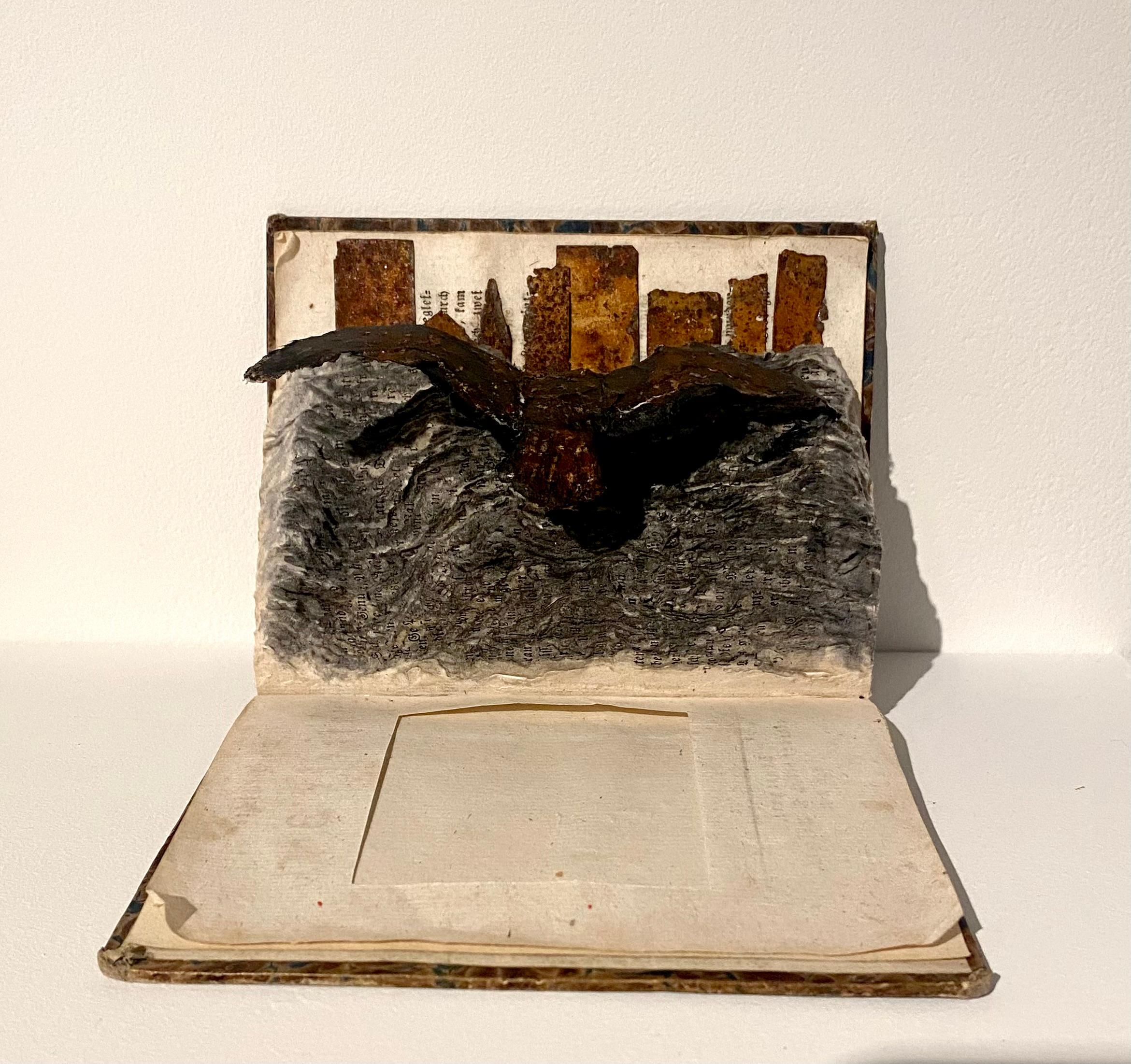 Assemblage in century old excavated book: 'Schatten des Todes''