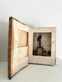 Assemblage in century old excavated book: 'Wagen der Rettung, Höhle mit Gebein''