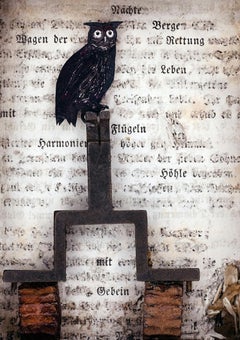 Assemblage in century old excavated book: 'Wagen der Rettung, Höhle mit Gebein''