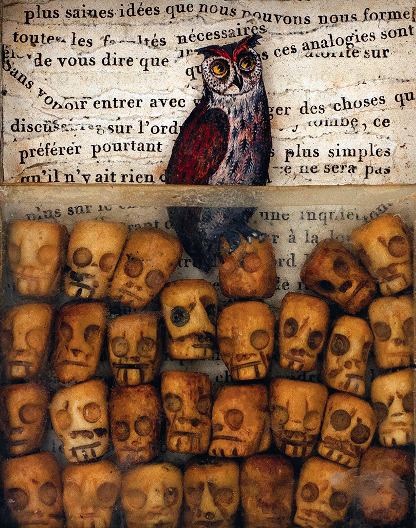 Assemblage in century old excavated book: 'Flaco XII (The Burden of Conformity)'