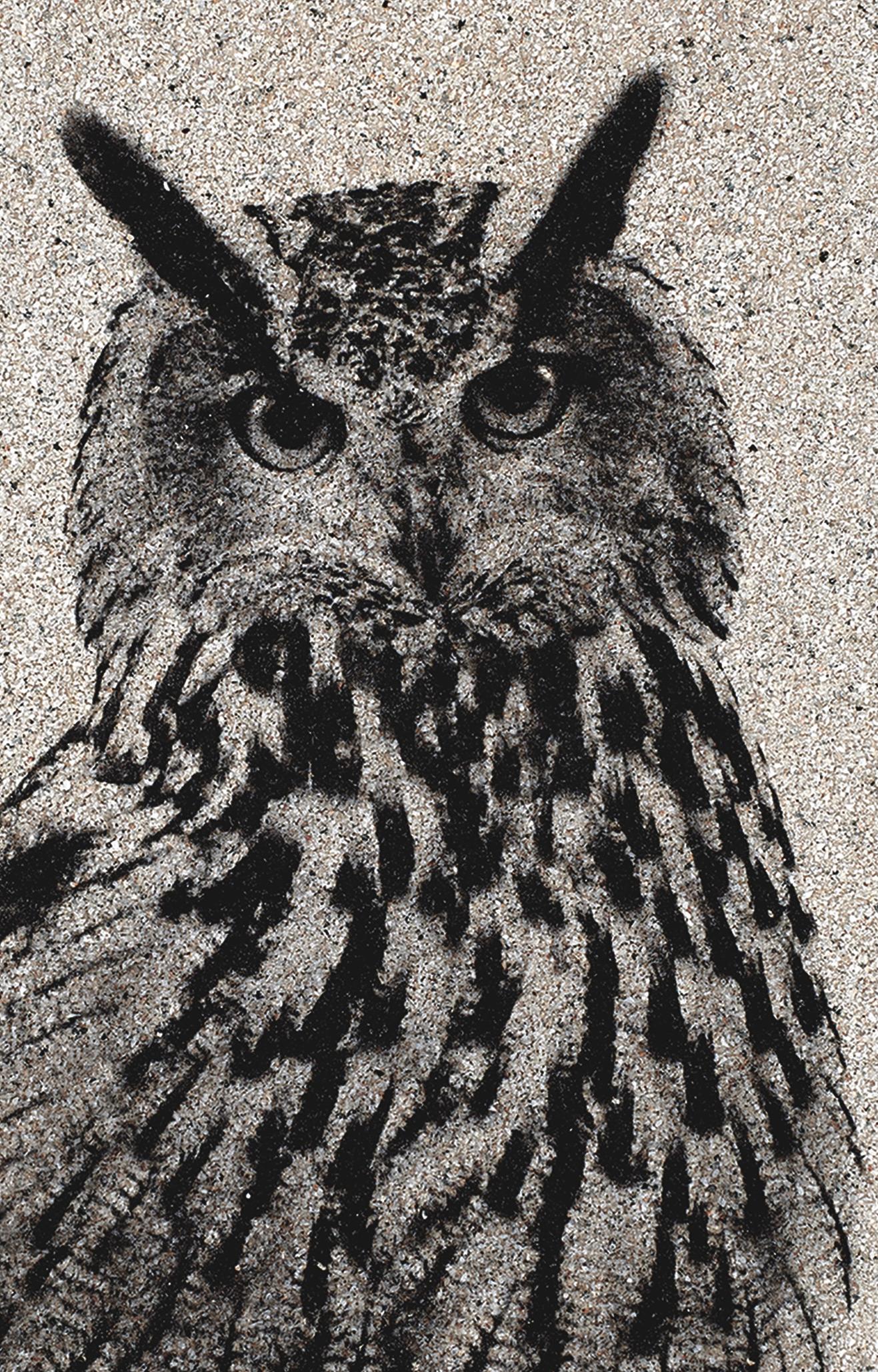 Heide Hatry is a NYC-based German artist, former rare bookseller, and best known for her work employing animal parts or other discarded, disdained, or “taboo” materials. She has curated many exhibitions and shown her work at museums and galleries