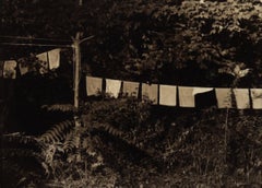 "Tibetan Prayer Flags" Sepia Toned Photograph