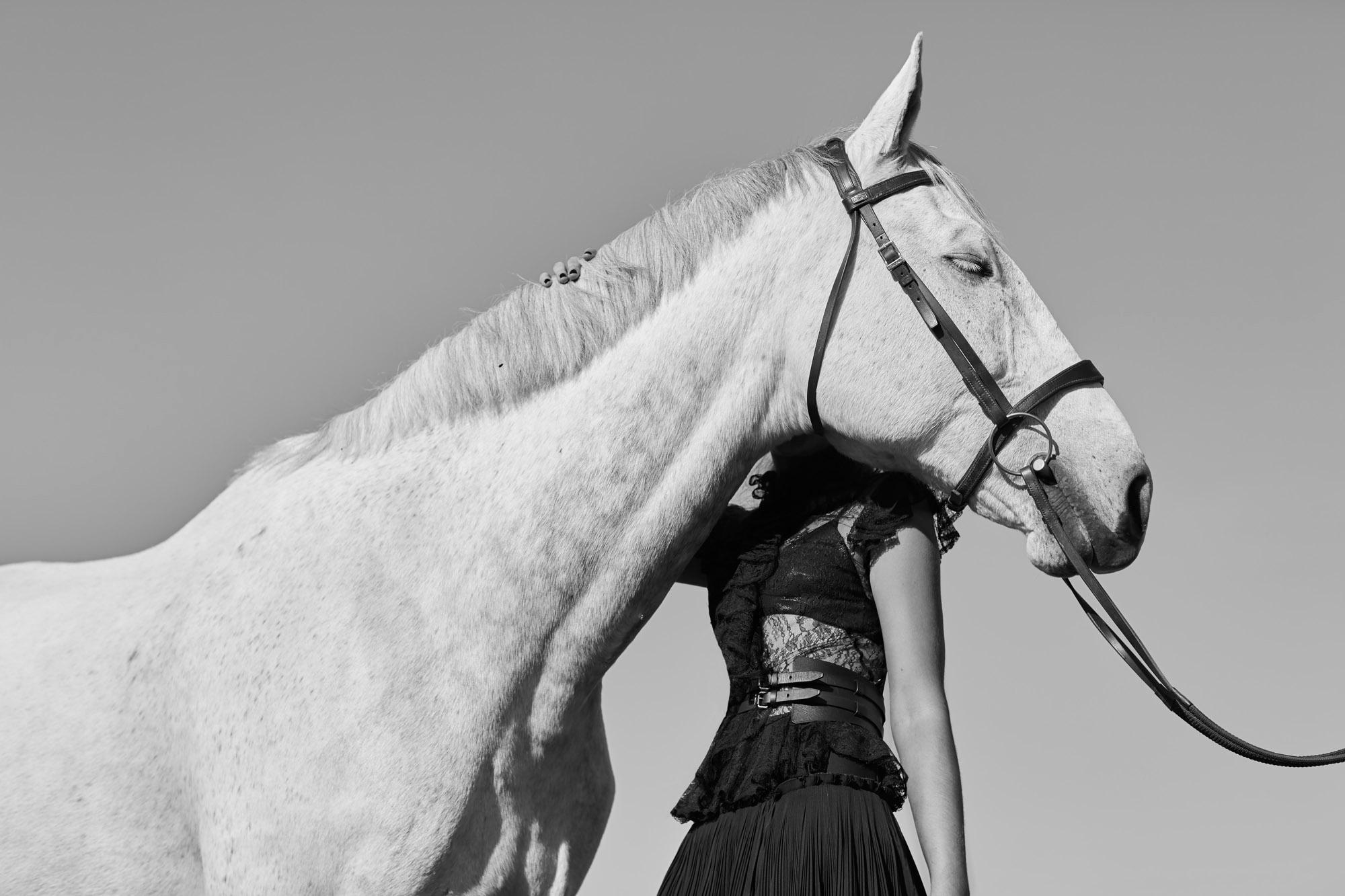 Heidi Niemala Black and White Photograph - Hunt Country Noir V