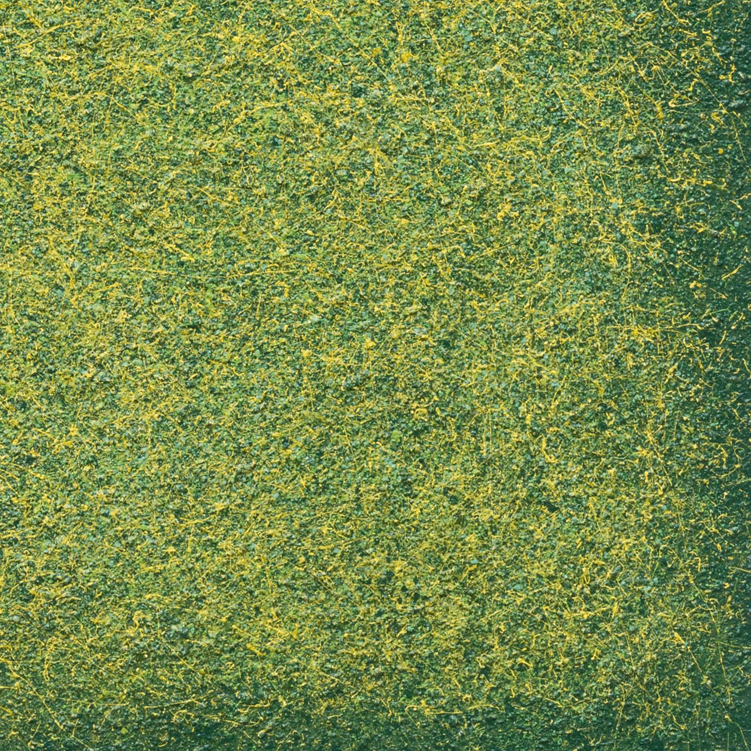 Warm Green Field - Green Color Field Painting 1