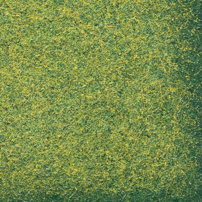 Heidi Thompson Warm Green Field Green Color Field Painting at 1stDibs