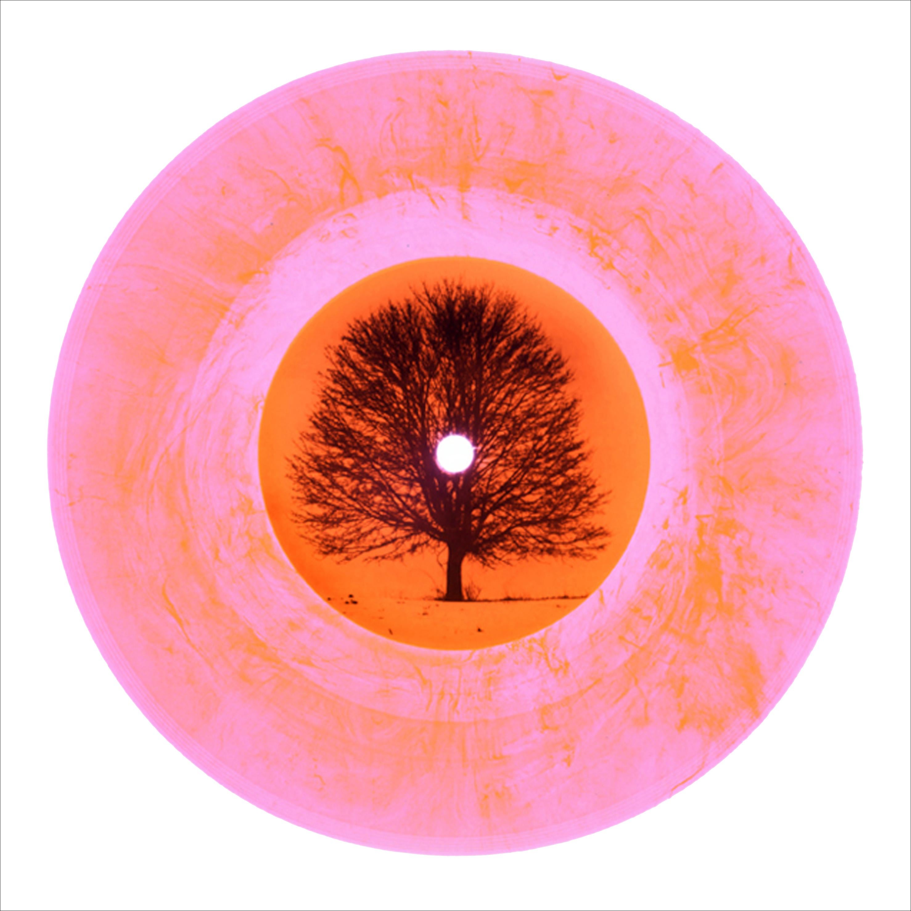 Heidler & Heeps Print - B Side Vinyl Collection, LTD. ED. Vinyl Large - Pop Art Color Photogrpahy