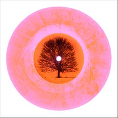 B Side Vinyl Collection, LTD. ED. Vinyl Large - Pop Art Color Photogrpahy
