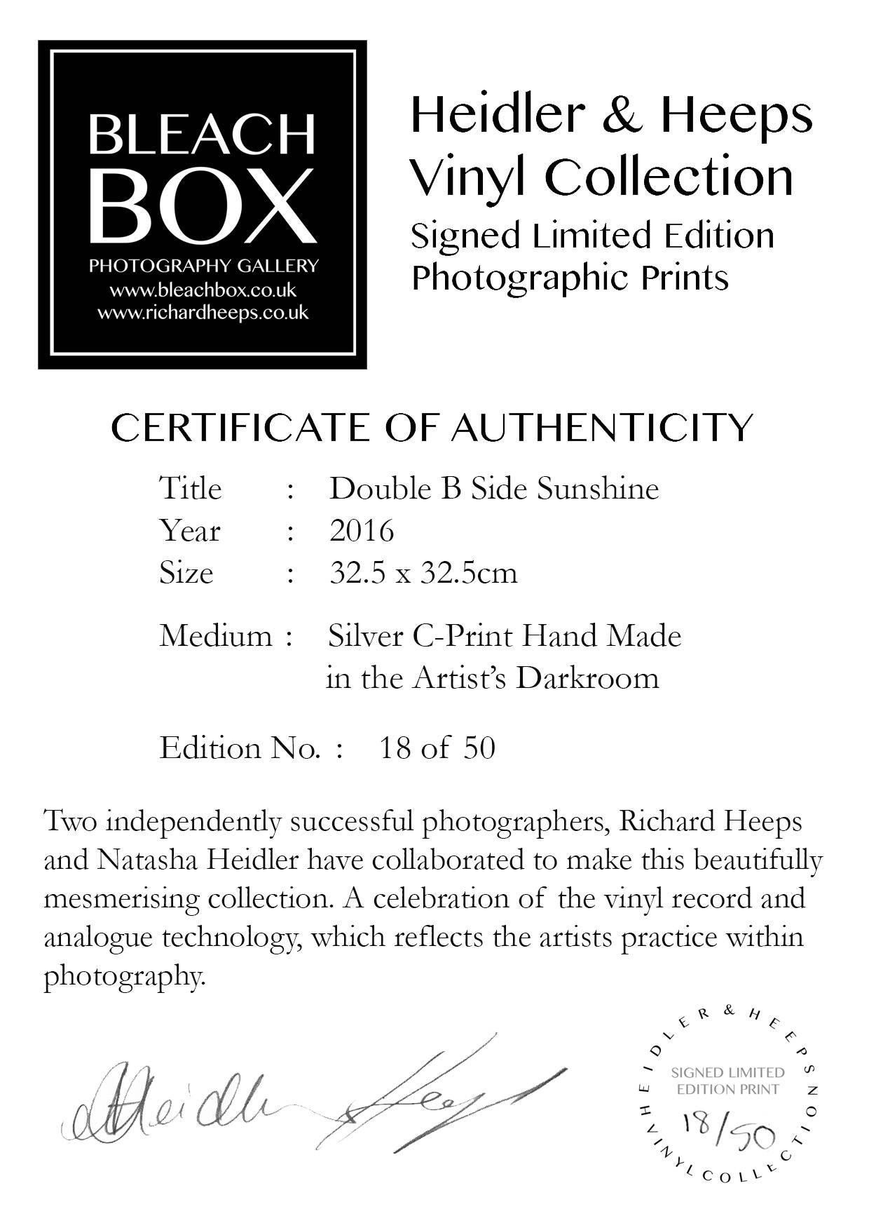 B Side Vinyl Collection Nine Piece Installation - Pop Art Color Photography For Sale 3