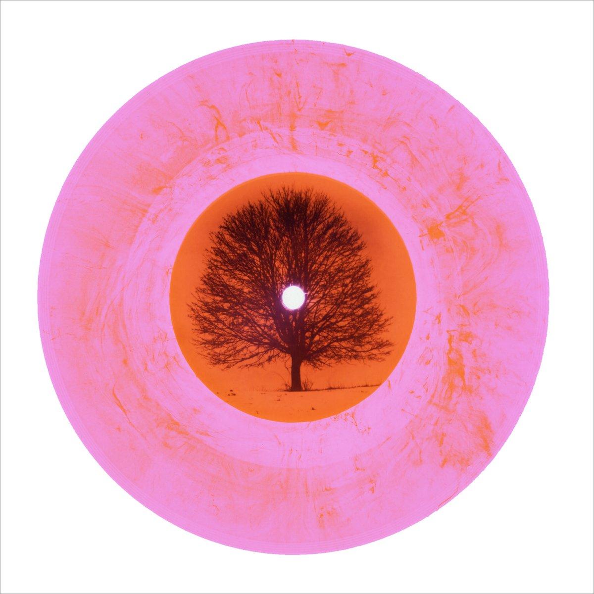 Collezione di vinili B Side - Set di sei pezzi - Fotografia pop art a colori in vendita 2