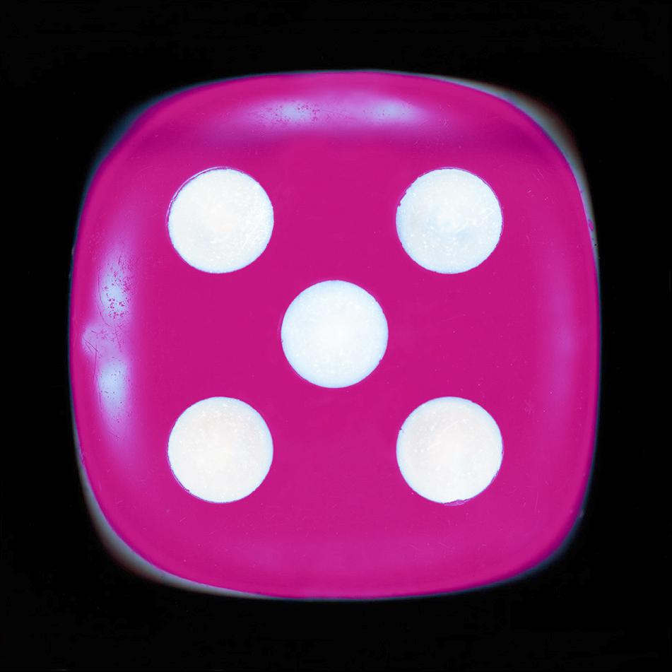 Heidler & Heeps Print - Dice Series, Pink Five - Conceptual Color Photography