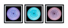 Heidler & Heeps Vinyl Collection Lavender, Blue, Mauve Set of Three Framed 