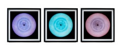 Vinyl Collection Lavender Blue Mauve Three Framed Pop Art Color Photography