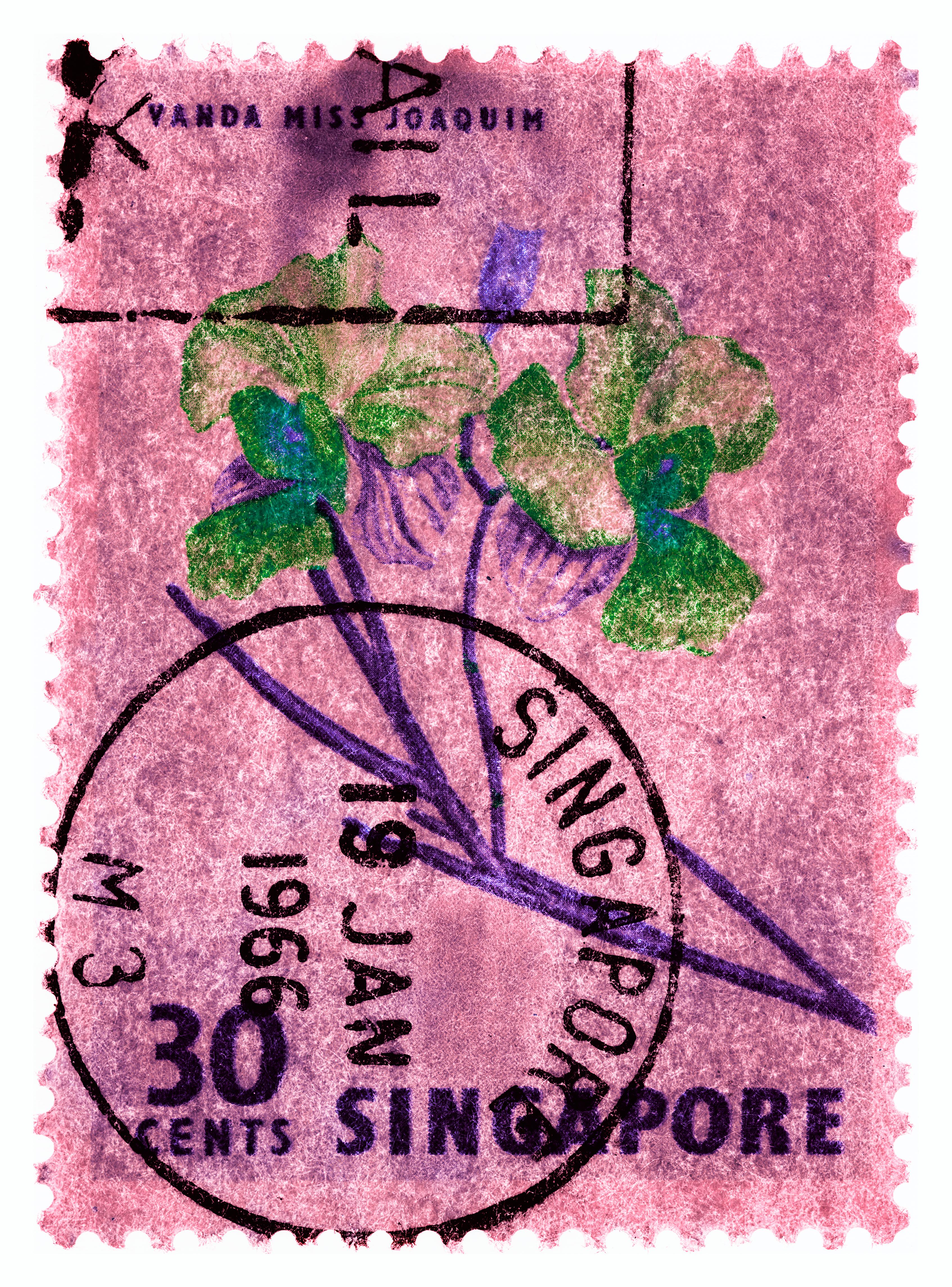 Ensemble de trois estampilles de Singapour encadrées, photographie couleur florale orchidée - Photograph de Heidler & Heeps