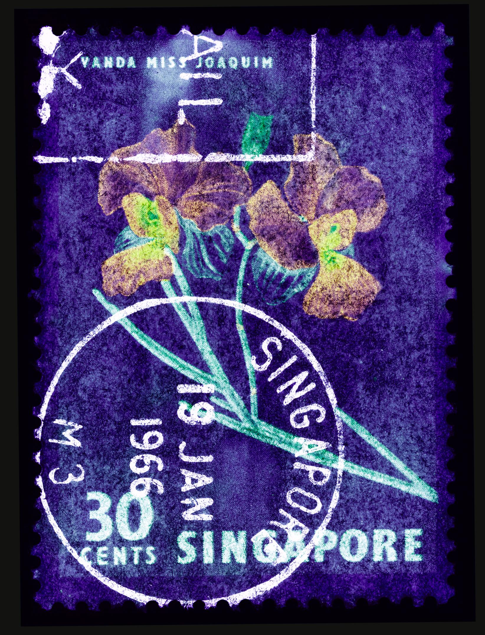Ensemble de trois estampilles de Singapour encadrées, photographie couleur florale orchidée - Conceptuel Photograph par Heidler & Heeps