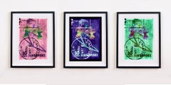 Set of Three Framed Singapore Stamp Collection, Orchid Floral Color Photograph