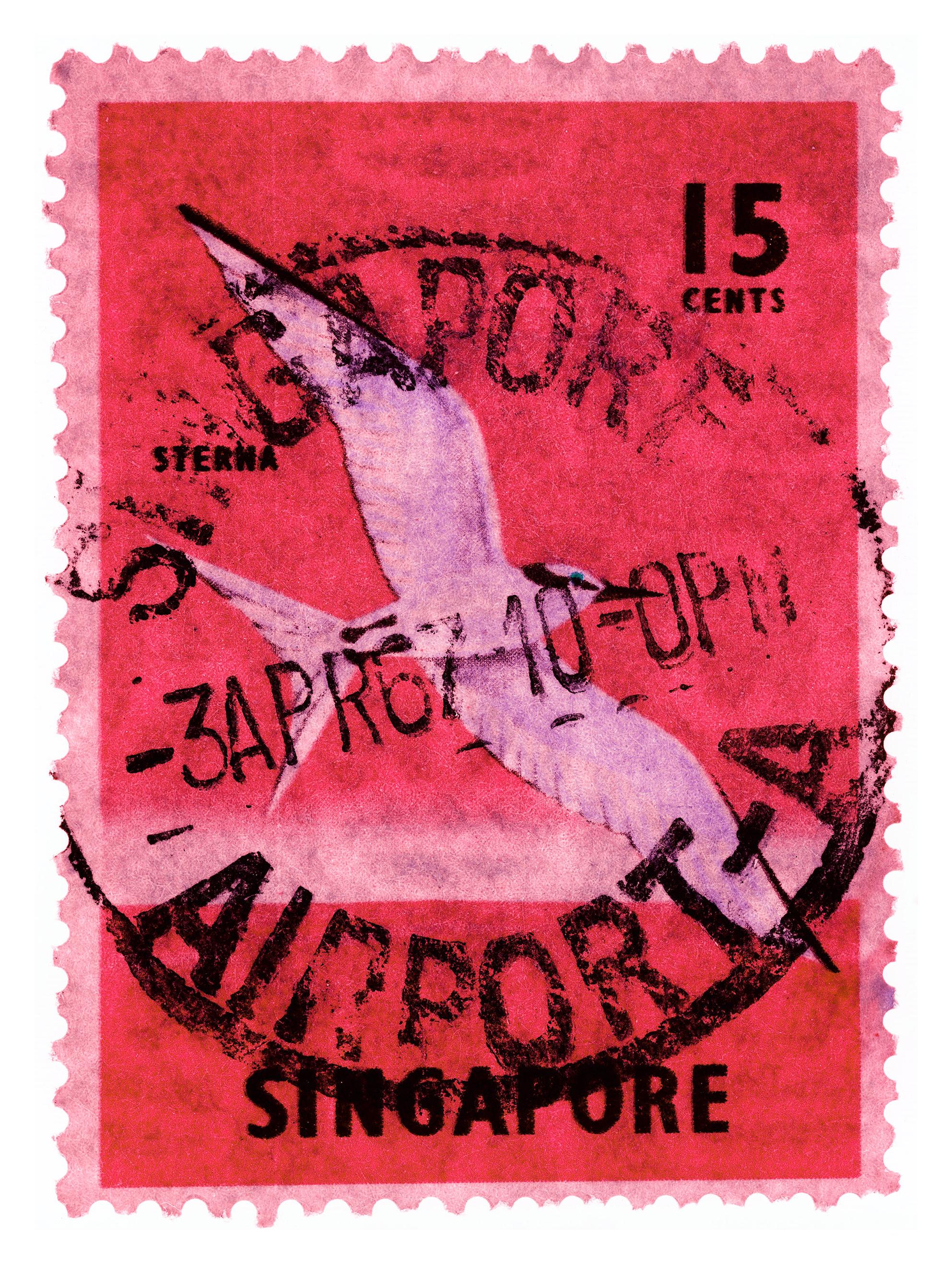 Singapore Stamp Collection, 15c Singapore Sterna Bird Pink - Pop art color photo