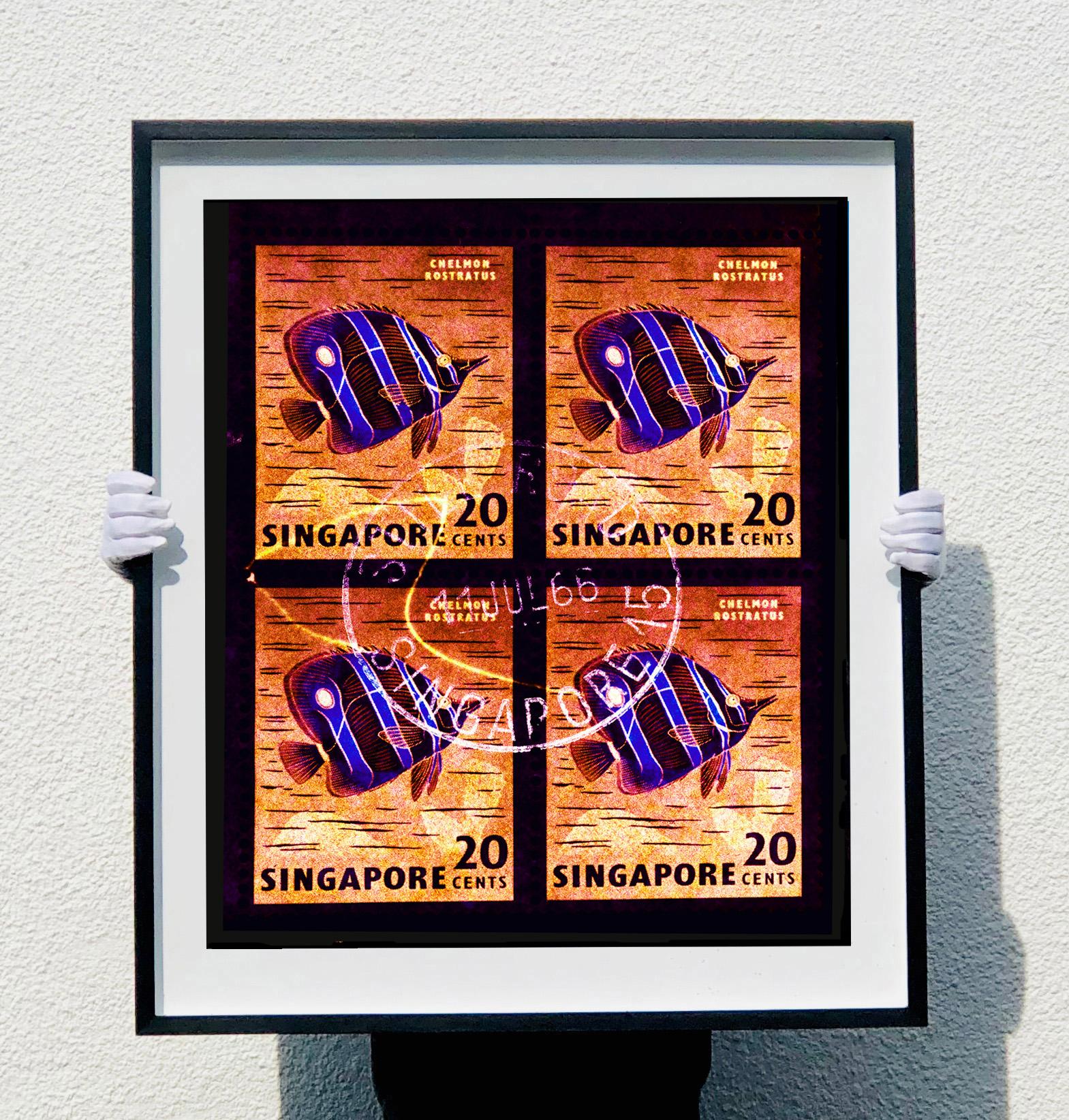 Singapore Stamp Collection, 20c Singapore Butterfly Fish (Gold) - Pop Art Photo - Black Color Photograph by Heidler & Heeps