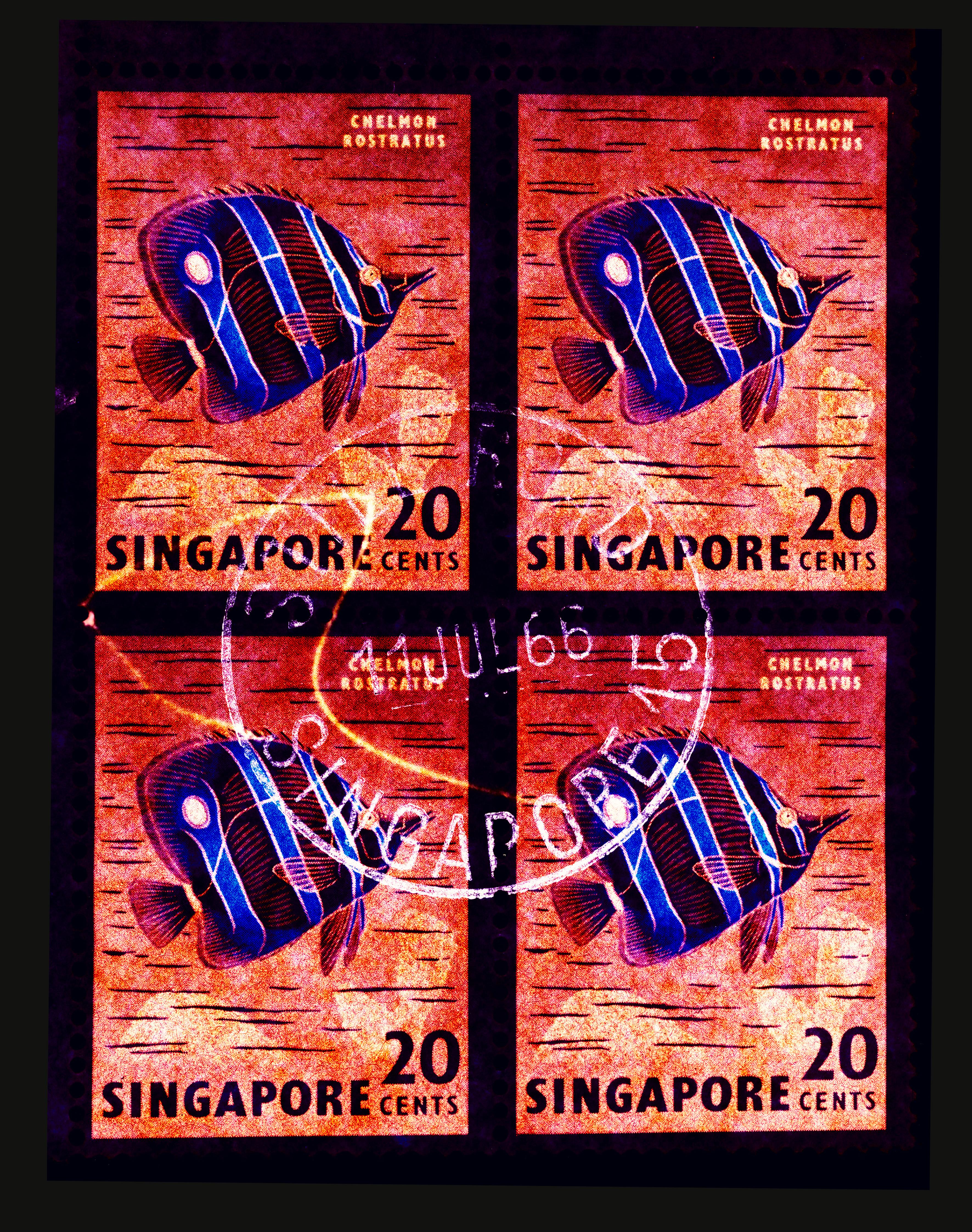 Heidler & Heeps Color Photograph – Singapur Singapore Stempel-Kollektion, 20 Karat Singapur Schmetterling Fisch - Pop-Art-Farbfoto