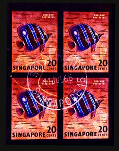 Used Singapore Stamp Collection, 20c Singapore Butterfly Fish - Pop Art Color Photo