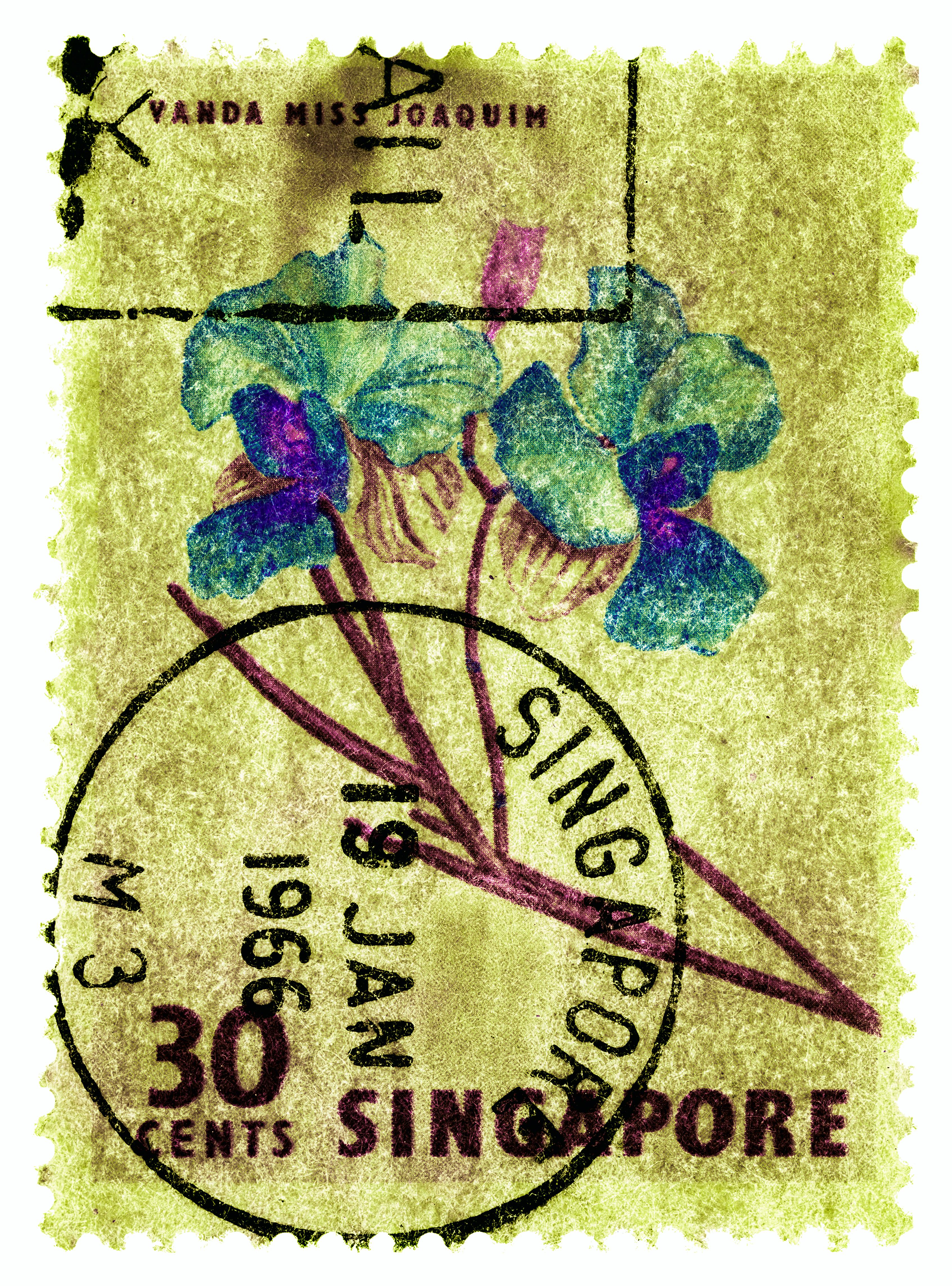Singapore Stempel-Kollektion, 30c Singapur Vier-Blumen-Farbfoto (Grau), Print, von Heidler & Heeps