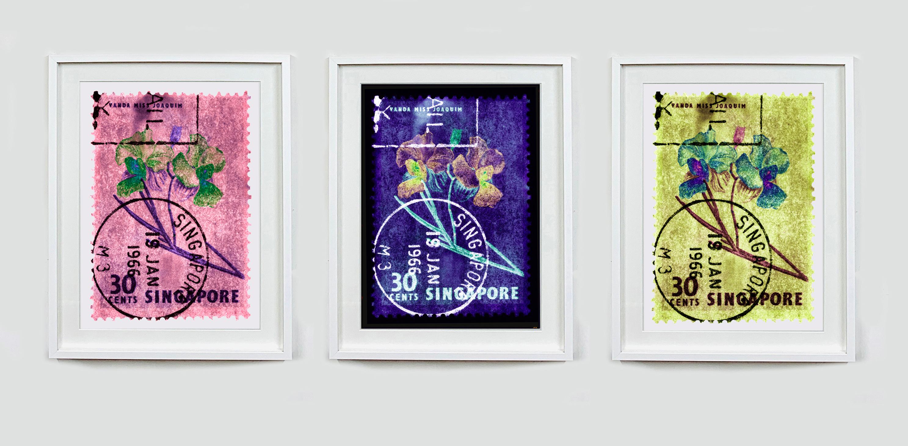 30 Cents Singapore Orchid Blue, de la collection du timbre Heidler & Heeps.
Ces timbre-postes historiques qui composent la collection de timbre-poste Heidler & Heeps, la série Singapour « Postcards from Afar », ont reçu une nouvelle vie au pop art