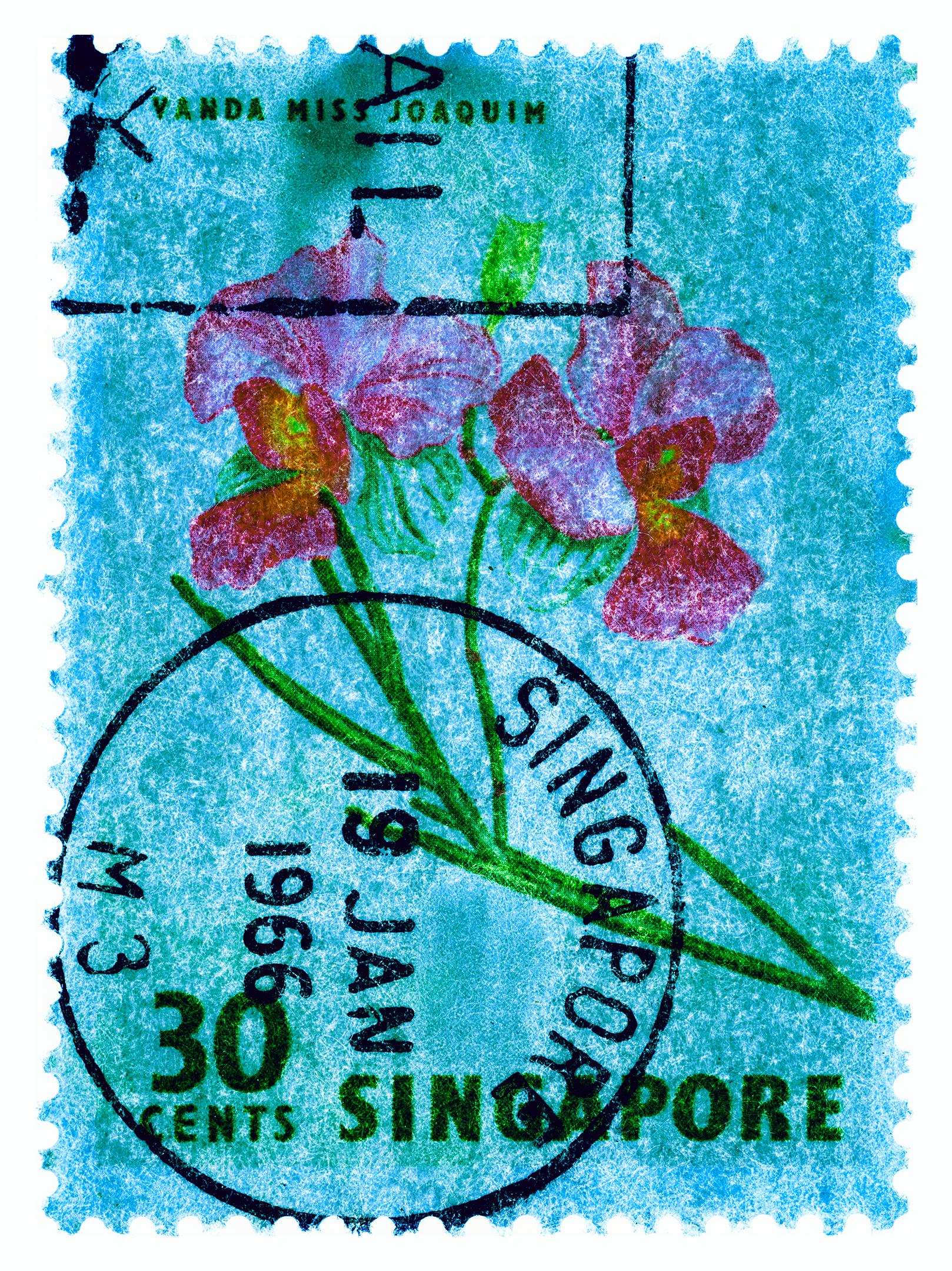 Heidler & Heeps Color Photograph – Singapurer Stempelkollektion, 30c Singapur Orchideenblau – Farbfoto mit Blumenmuster