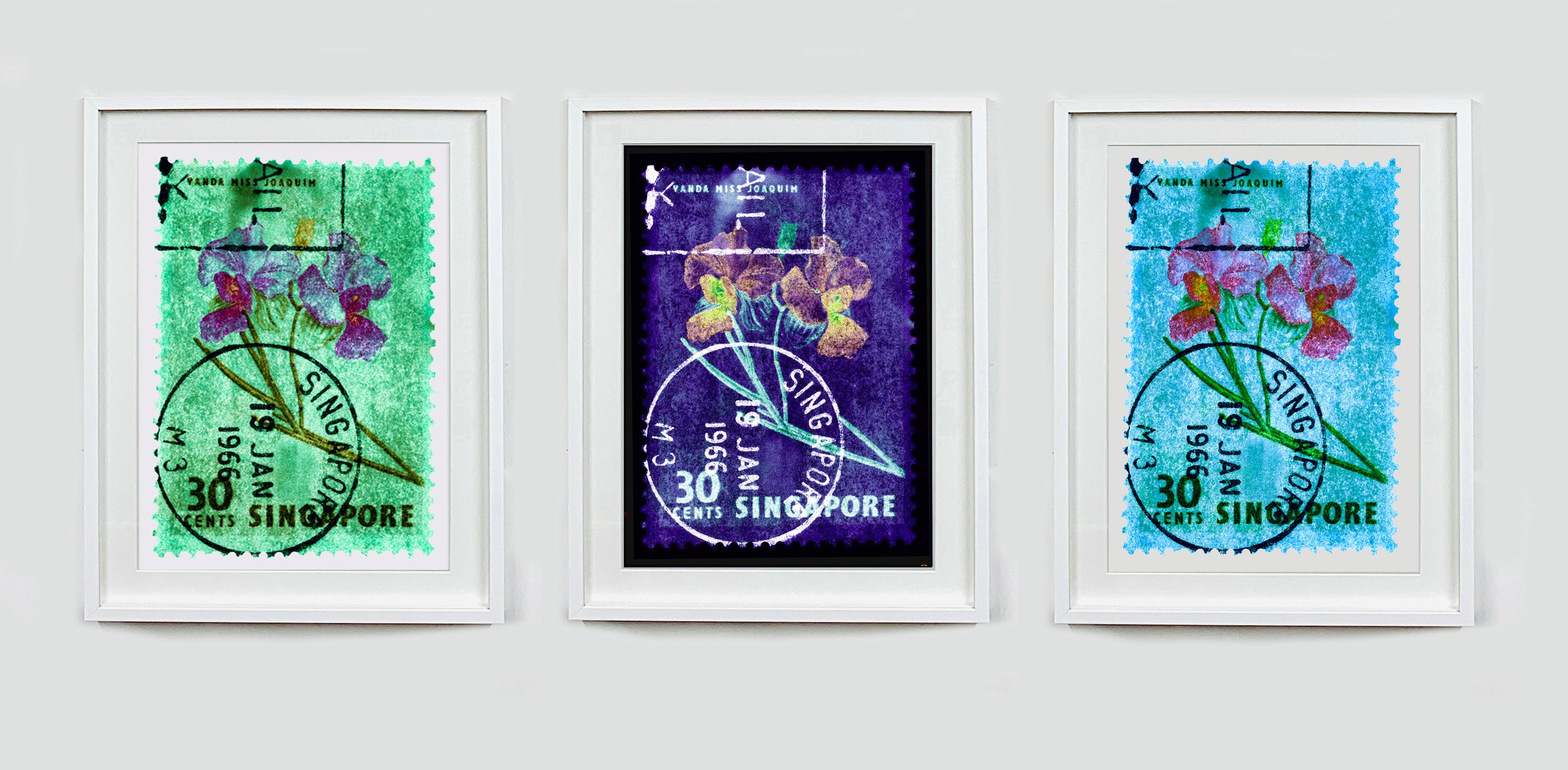 30 Cents Singapur Orchidee Grün, aus der Heidler & Heeps Stamp Collection'S.
Die historischen Briefmarken der Heidler & Heeps Stamp Collection'S, Singapore Series 'Postcards from Afar' wurden mit Pop Art des einundzwanzigsten Jahrhunderts neu