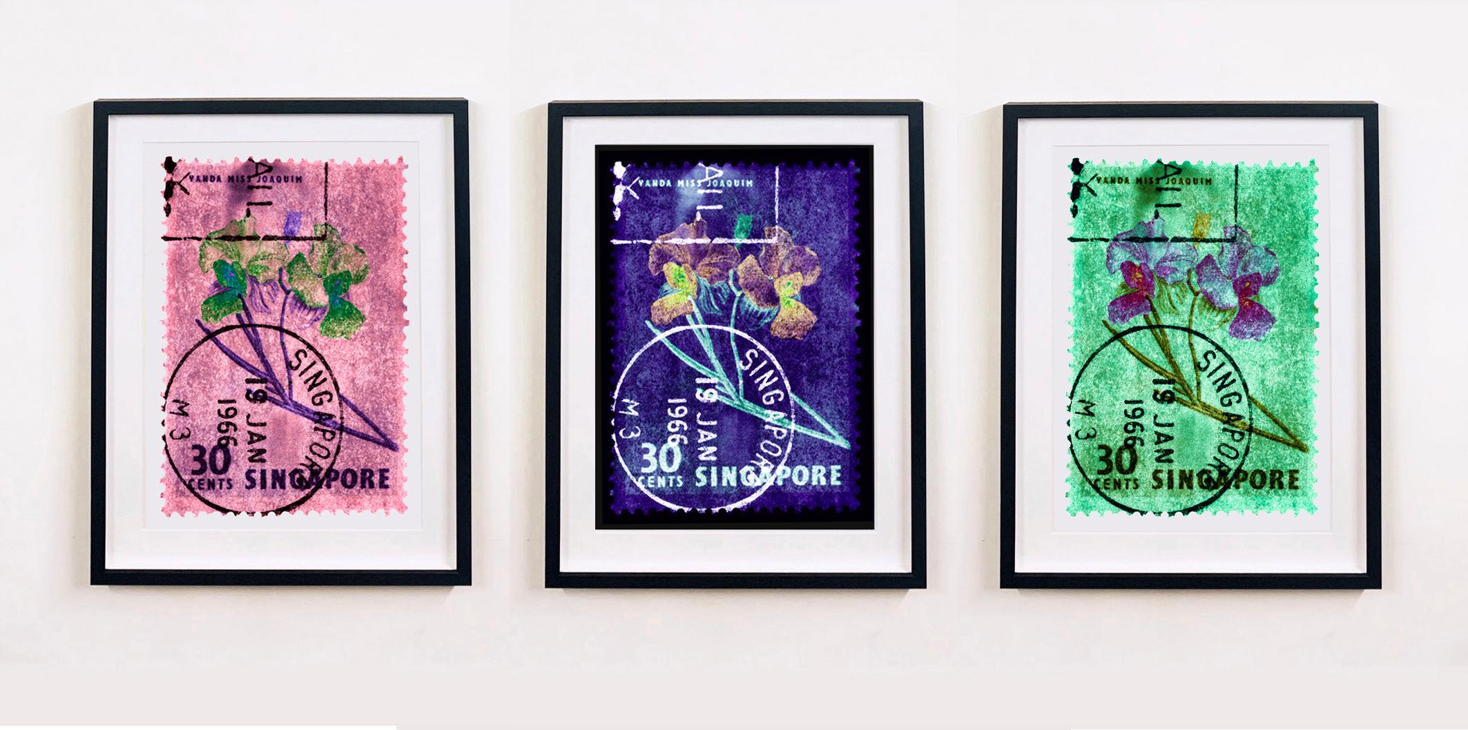 Singapore Stamp Collection, 30c Singapore Orchid Green - Floral color photo - Conceptual Photograph by Heidler & Heeps