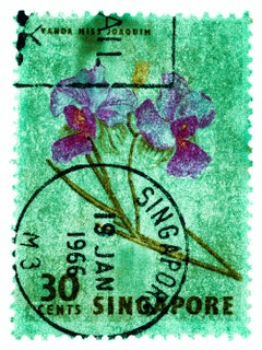 Singapurer Stempelkollektion, 30c Singapur Orchideengrün – Farbfoto mit Blumenmuster