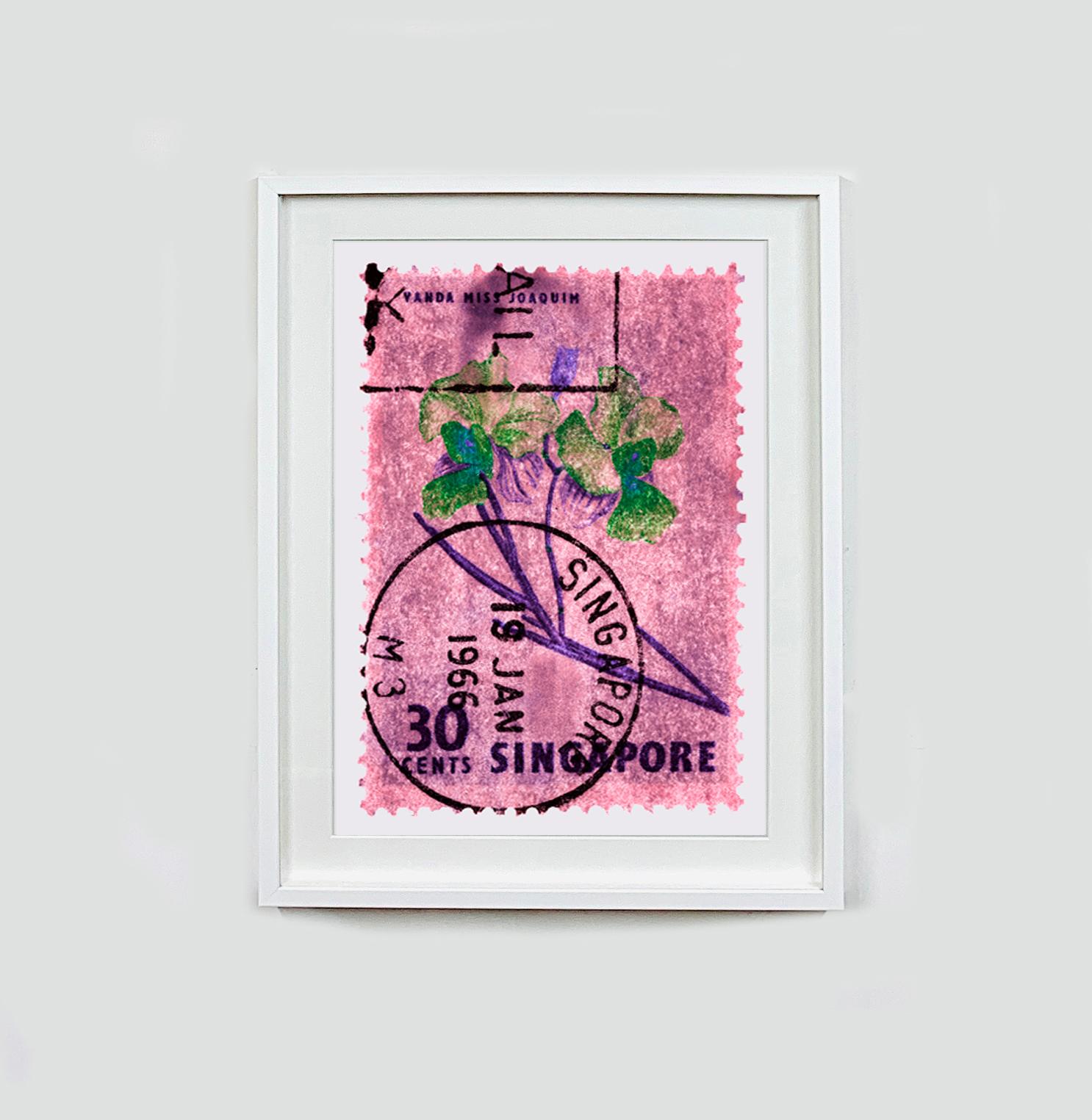 Singapore Stamp Collection, 30c Singapore Orchid Pink - Floral color photo - Print by Heidler & Heeps