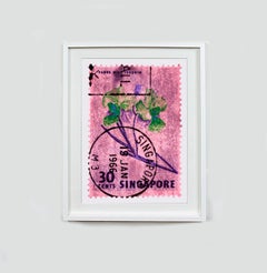 Singapore Stempel-Kollektion, 30c Singapore Orchidee Rosa - Floralfarbenes Foto