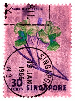 Singapore Stempel-Kollektion, 30c Singapore Orchidee Rosa - Floralfarbenes Foto