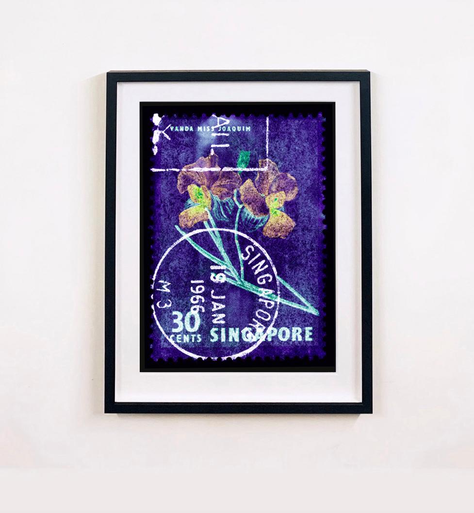 Singapore Stamp Collection, 30c Singapore Orchid Purple - Floral color photo - Photograph by Heidler & Heeps