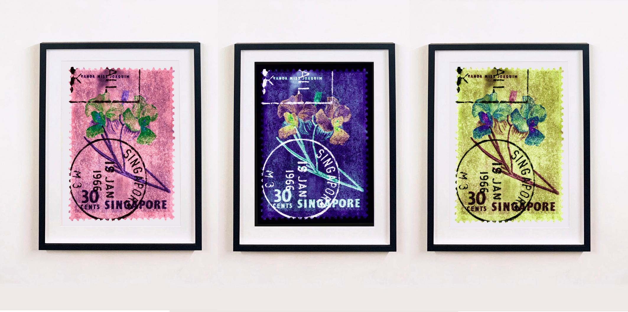 Collection de timbres de Singapour, 30 c Singapour Orchid violet - photo couleur florale en vente 1