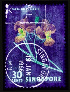 Collection de timbres de Singapour, 30 c Singapour Orchid violet - photo couleur florale