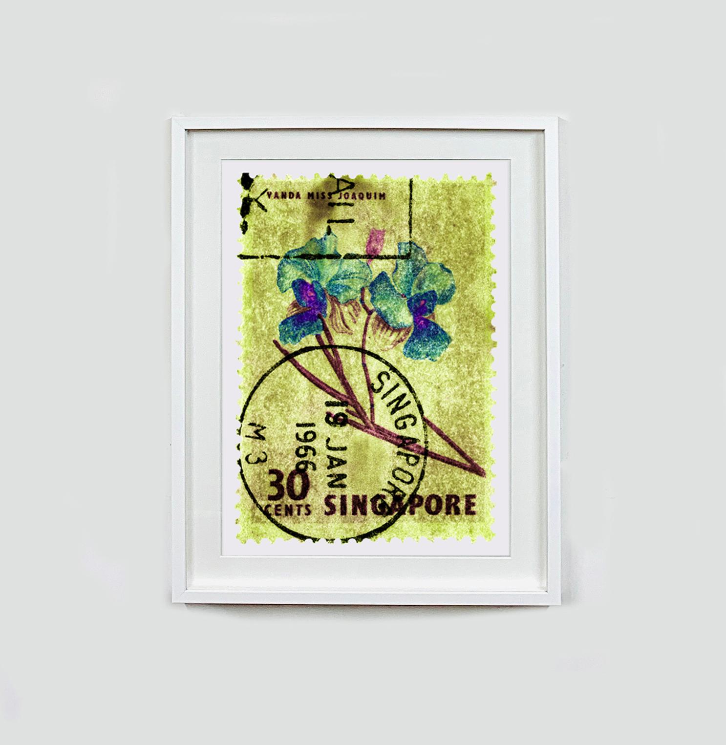 Singapore Stamp Collection, 30c Singapore Orchid Yellow - Floral color photo - Photograph by Heidler & Heeps