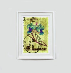 Singapore Stamp Collection, 30c Singapore Orchid Yellow - Floral color photo