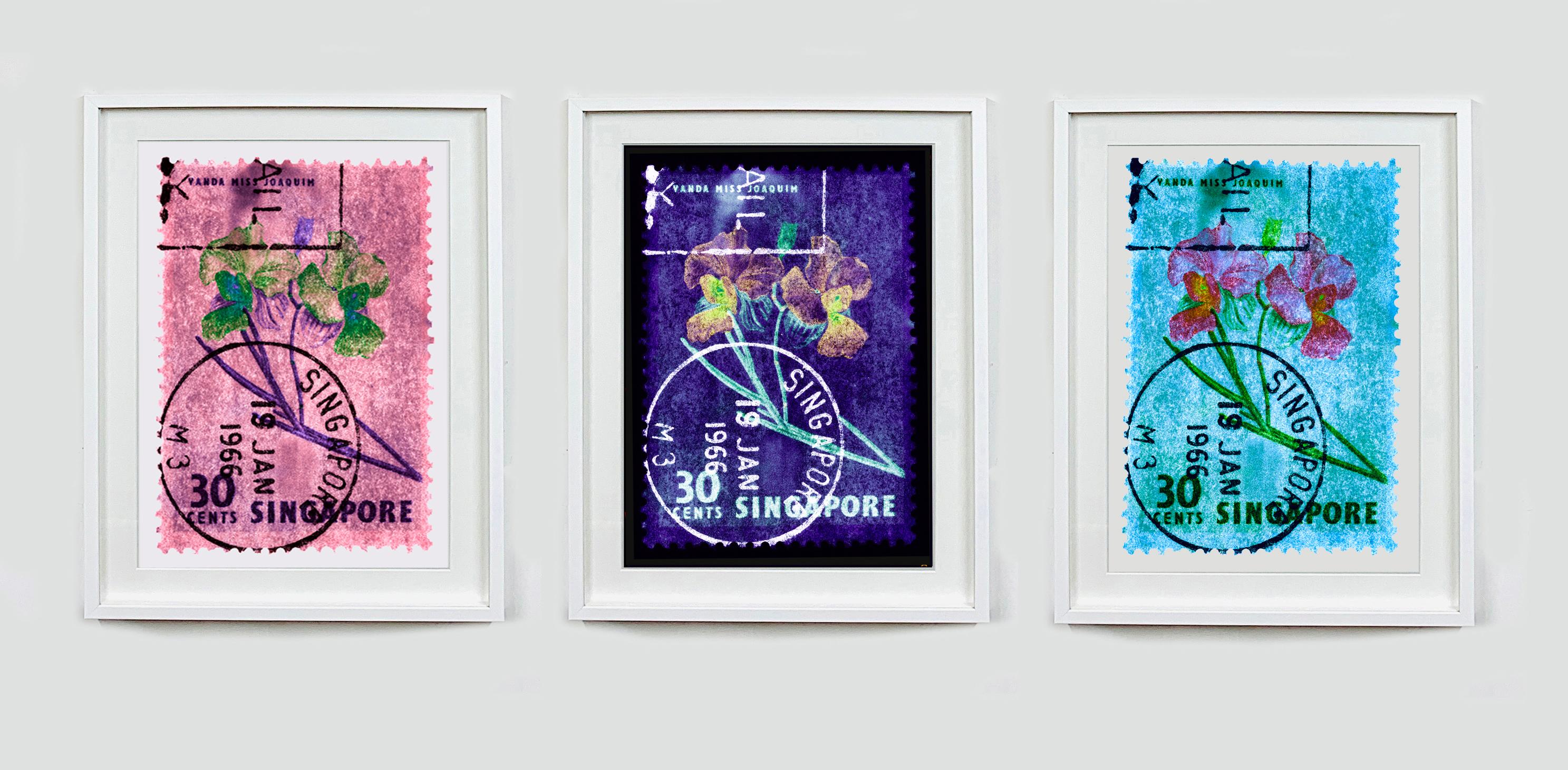 Singapore Stamp Collection, 30c Singapore Orchid Blue - Floral color photo - Conceptual Print by Heidler & Heeps