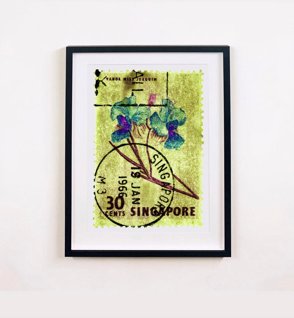 Singapurer Stempelkollektion, 30c Singapur Orchidee Gelb – Farbfoto mit Blumenmuster (Grün), Color Photograph, von Heidler & Heeps