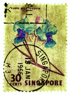 Singapore Stamp Collection, 30c Singapore Orchid Yellow - Floral color photo