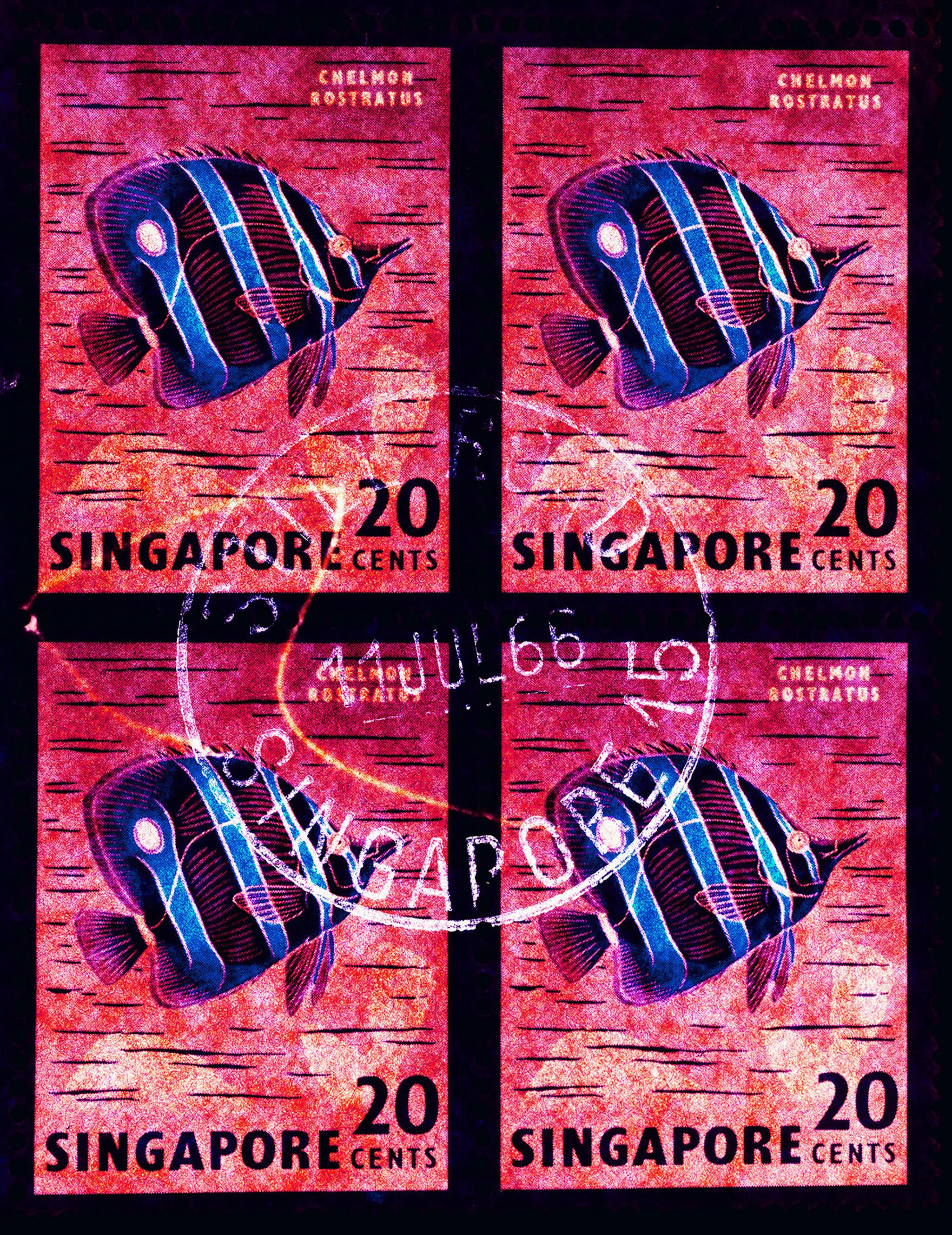 Singapore Stamp Collectional Butterfly Fish - Pop Art Print encadré
